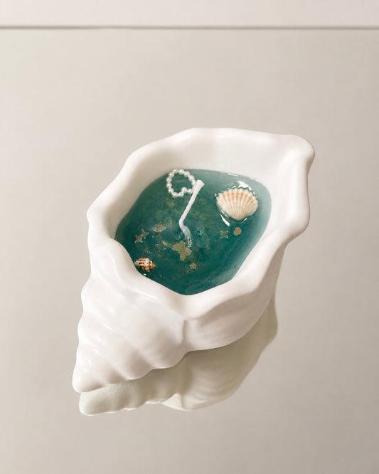 Concha de Mar Vela