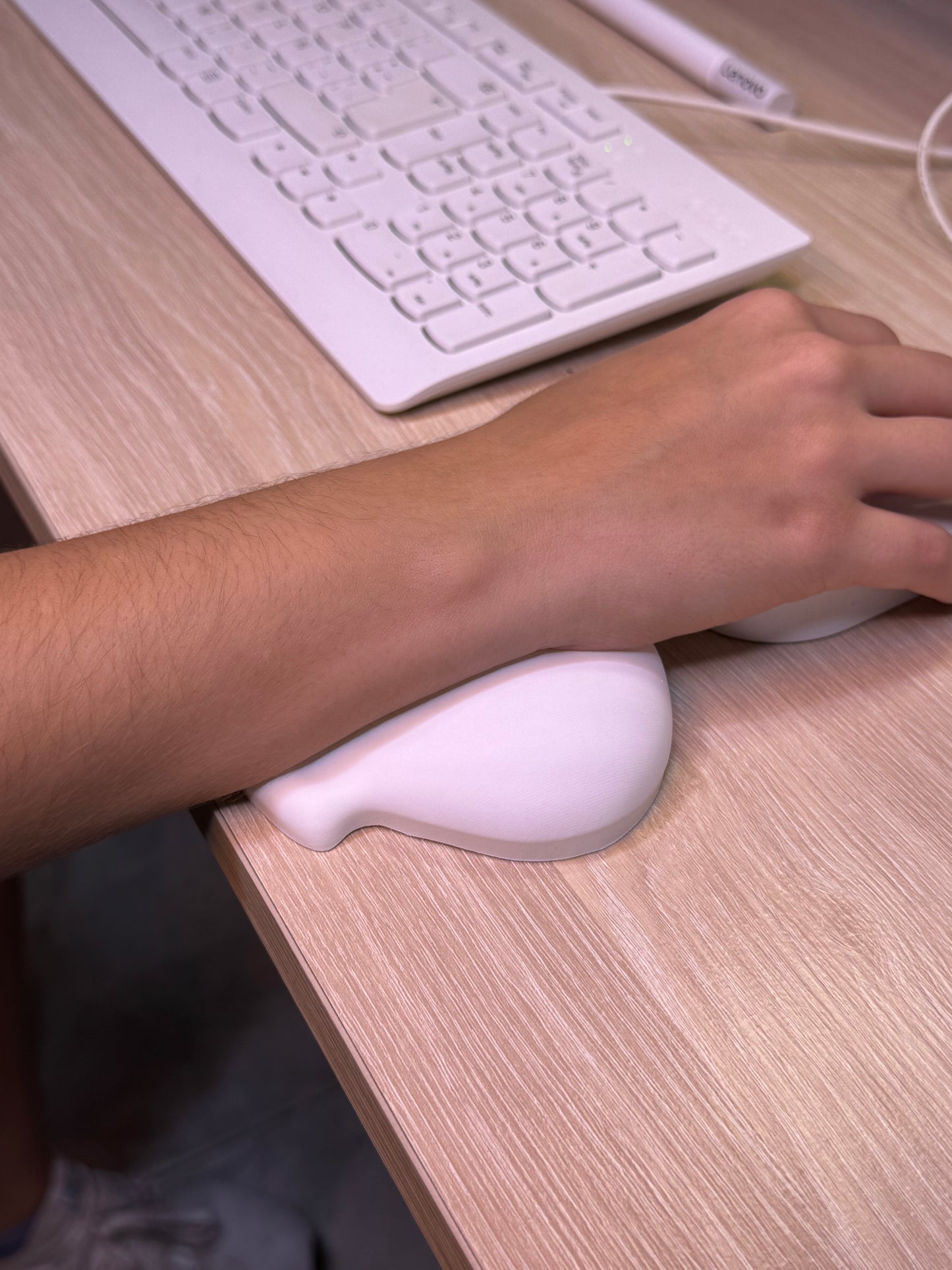 Posamuñecas Concha de Mar