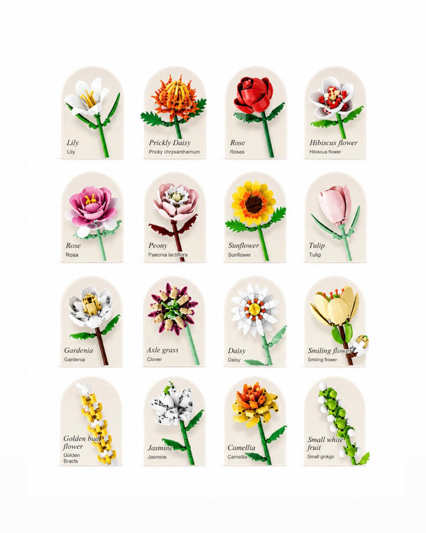 Flores